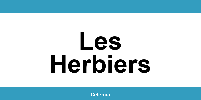 Contacter un centre CMP à Les Herbiers