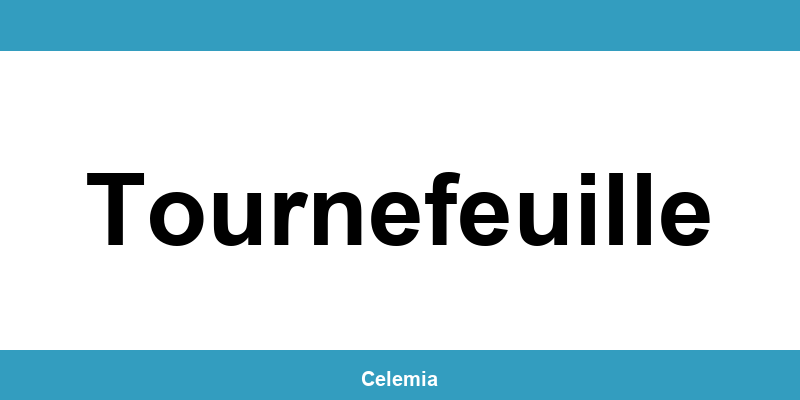 Contacter un centre CMP à Tournefeuille