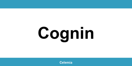 Contacter un centre CMP à Cognin