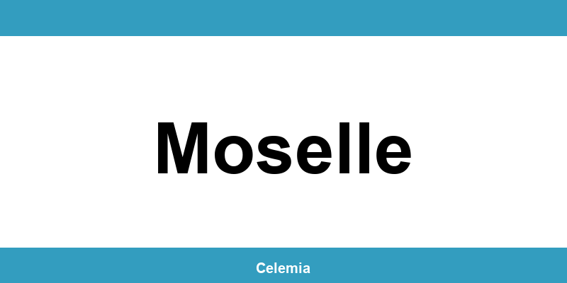 Contacter un centre CMP à Moselle