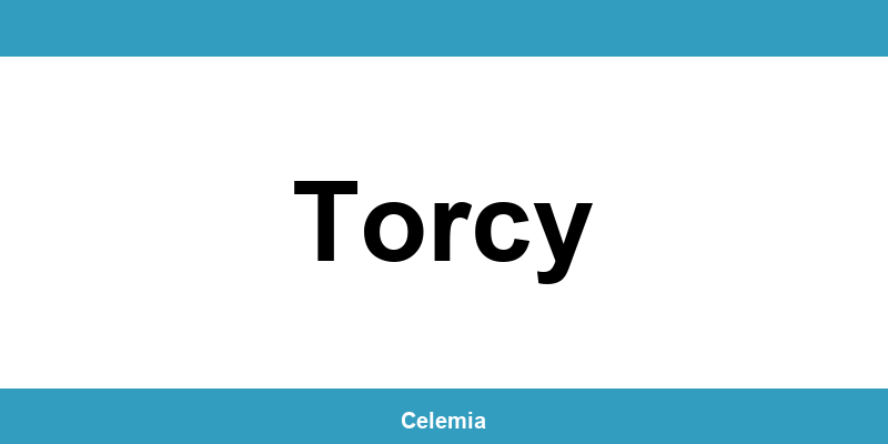 Contacter un centre CMP à Torcy